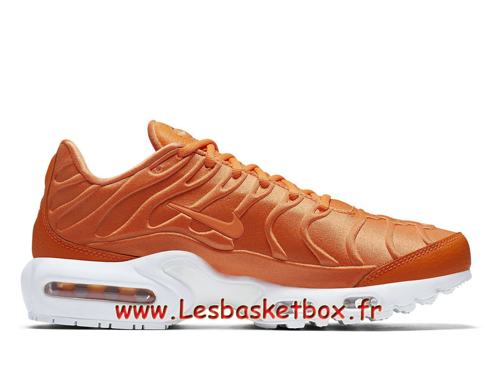 nike air max plus se just do it