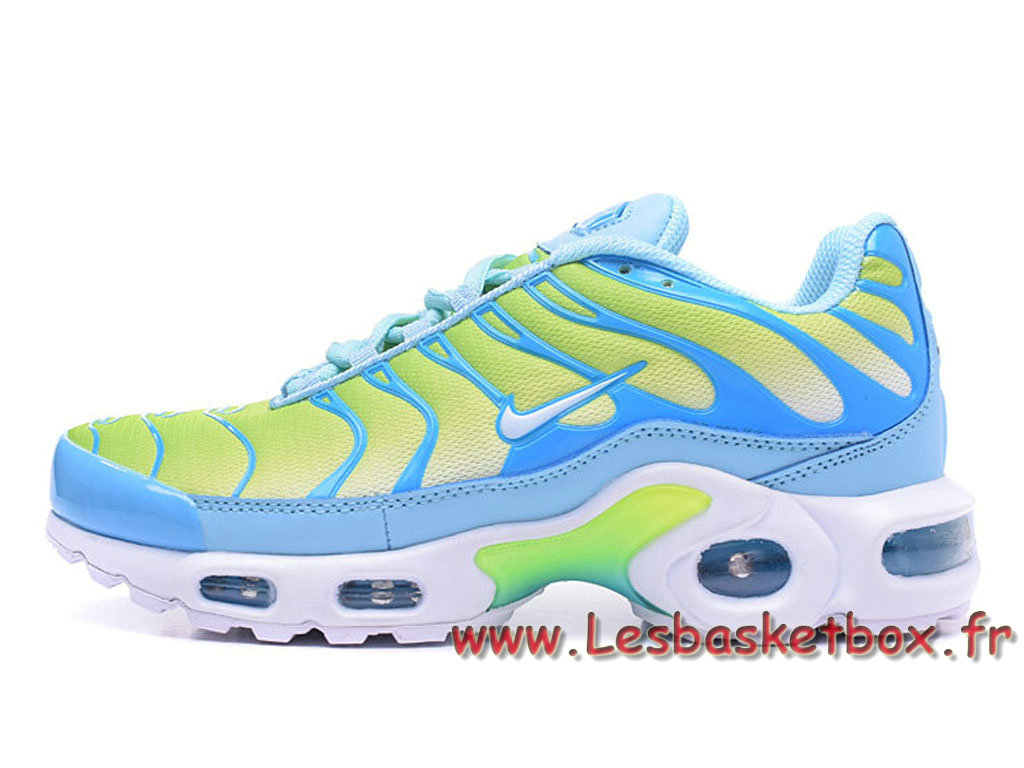 chausport nike femme